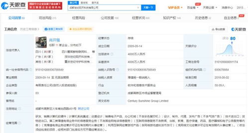 計(jì)算機(jī)軟硬件研發(fā)與銷售 技術(shù)驅(qū)動(dòng)與市場拓展的雙輪引擎